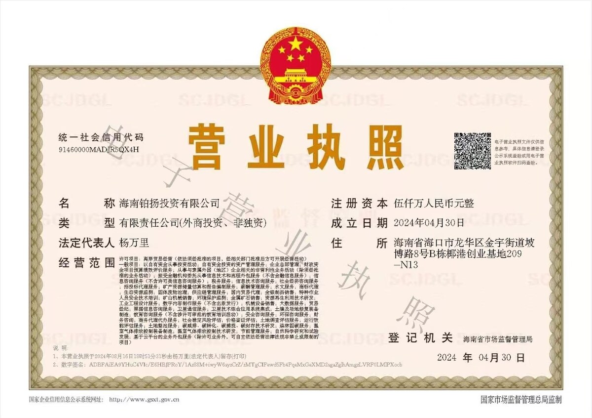 海南铂扬投资有限公司营业执照